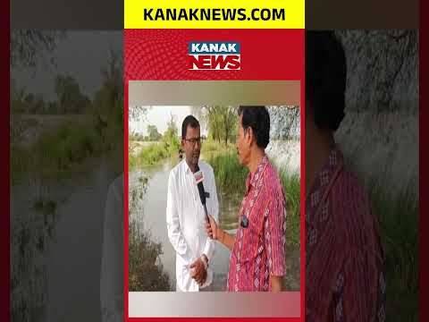 Odisha Flood Update | 3,000 People Stranded in Nayagarh Due to Mahanadi Flood