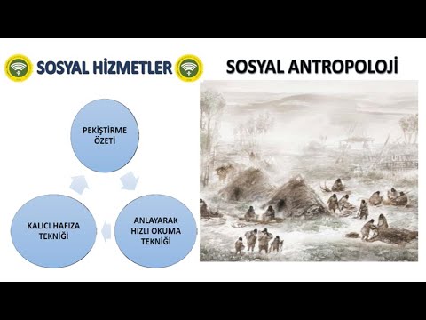 Video: Sosyal Antropoloji Doğduğunda