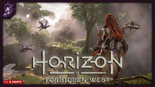 Horizon Forbidden West // На охоту №1