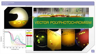 Light-controlled Spectral Selectivity in Polarization-sensitive Materials (preview)