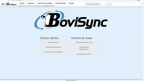 Change BoviSync Language in Setup