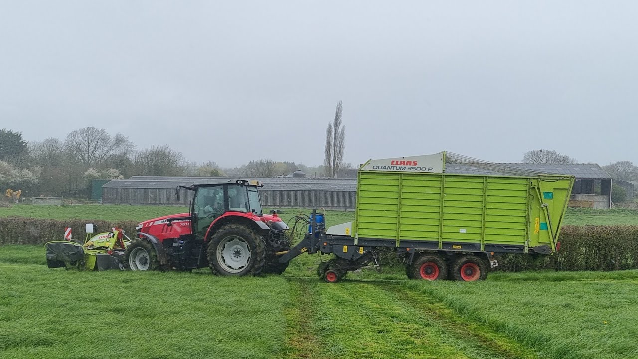 zero-grazing-cows-during-a-wet-spring-youtube