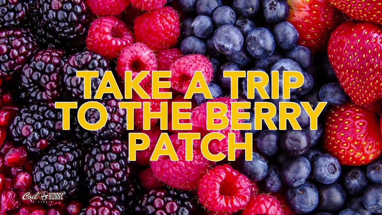 Bear Berry | Coil Hunny E-Liquid