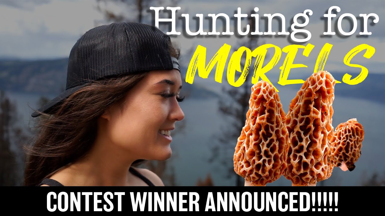 Taking a BREAK from our property & HUNTING FOR MORELS in LAKEVIEW