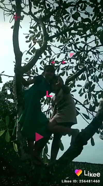 Tiga 3 sahabat sejati