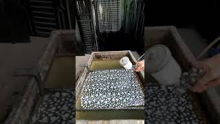 Water transfer printing Process