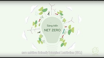 Net Zero là gì? Mối quan hệ giữa Biến đổi khí hậu và Net Zero?