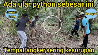 FIRST TIME SEEING A PYTHON SNAKE THIS BIG BY RESIDENTS IN A HAUNTED PLACE RESIDENTS OFTEN GET POS...