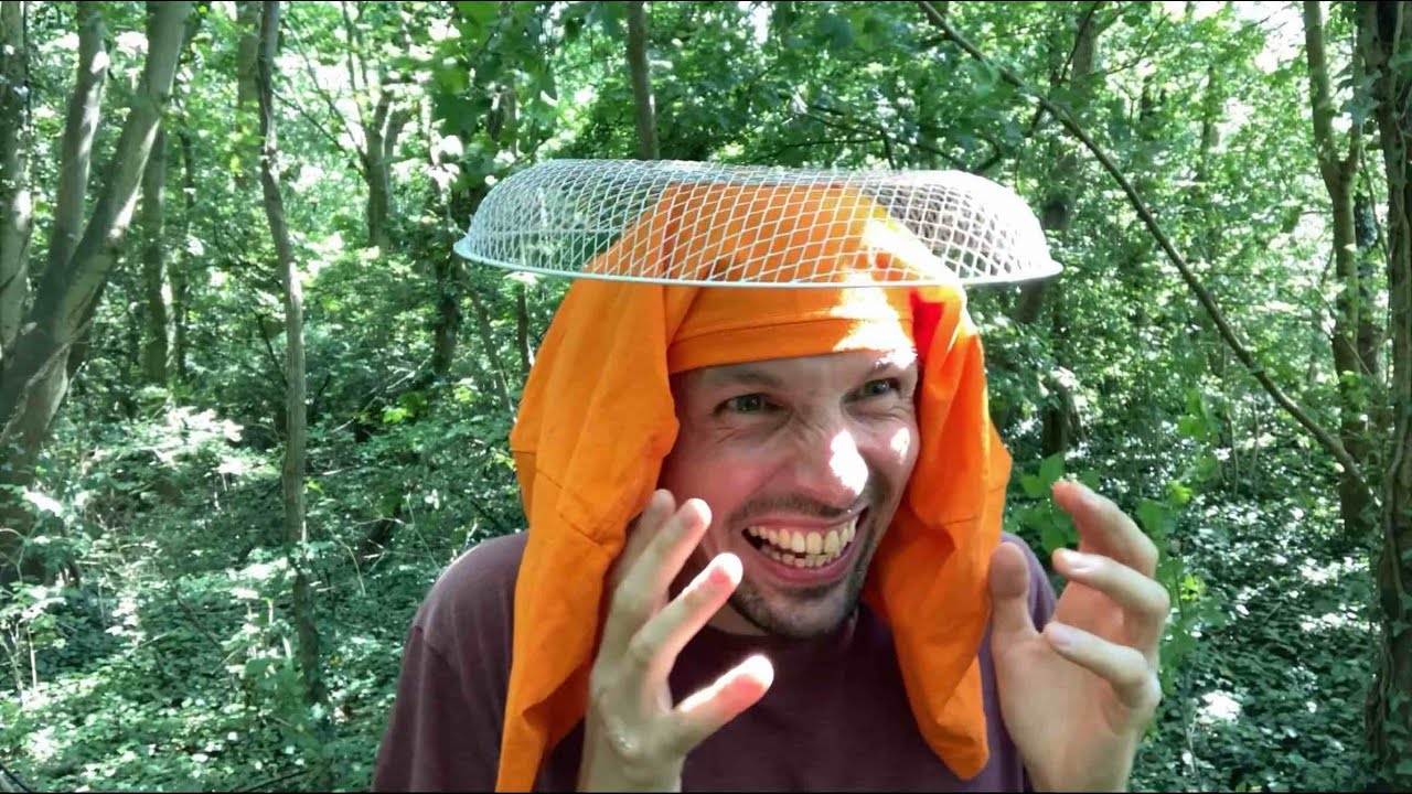 How to attract an alien woman