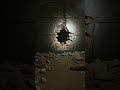 Inside the Sealed Bunker: A Golden Discovery
