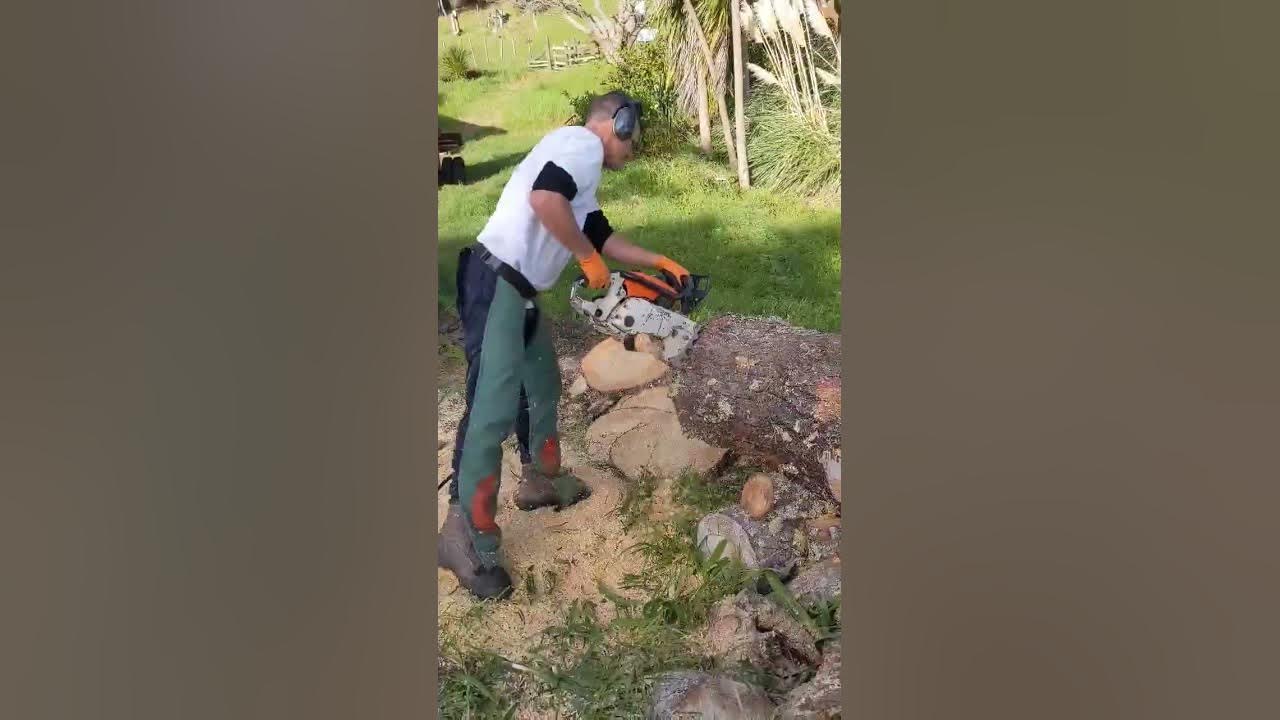 the-biggest-chainsaw-ever-made-stihl-090-stihl-stihl090