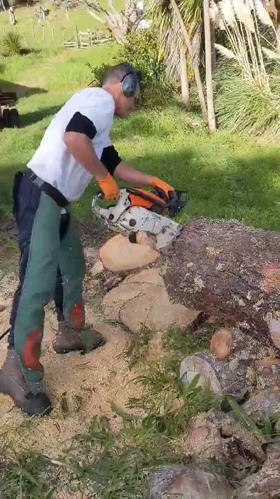 The Biggest Chainsaw Ever Made Stihl 090 stihl stihl090 the-biggest-chainsaw-ever-made-stihl-090-stihl-stihl090