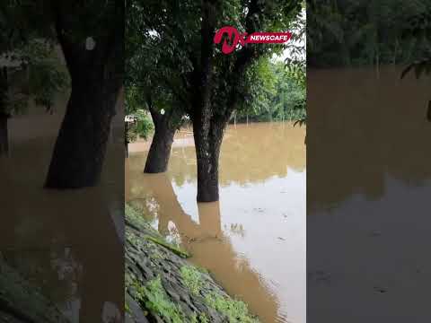 เดตเตเดณเตเดณเดคเตเดคเดฟเตฝ เดฎเตเดเตเดเดฟ เดชเดพเดฒเดพ เดเตเตบ #flood #pala #palatown #heavyrain #kerala #floodalert #rain #kottayam