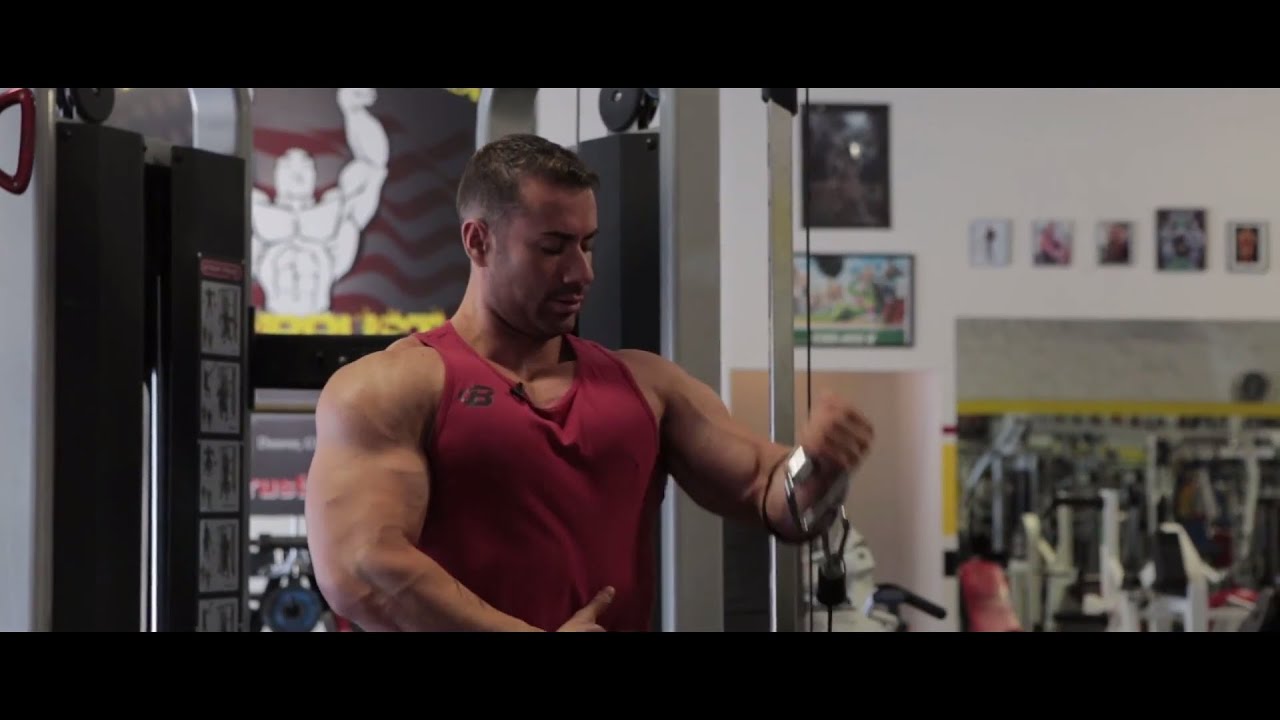 ALEXCARNEIRO.COM - TRAINING - FULL CHEST PRINCIPLES TRAINING