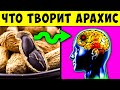 А что будет, если есть Арахис каждый день!  Польза и вред