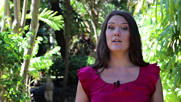 What nuts are good for menopause?