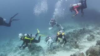 Seazaa Gang Maldives 2023 Dive5 Arches Jeab