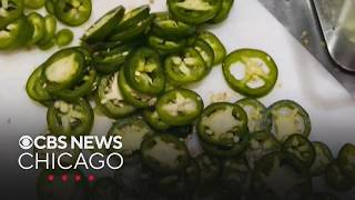Salmonella outbreak hits Illinois, 26 other states | Full Newscasts Salmonella outbreak hits Illinois, 26 other states | Full Newscasts