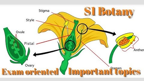 | KU - S1 Core Botany Exam oriented important topics | Suggested video |