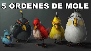 Posting Compilation V10