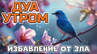✨ ДУА УТРОМ ЧТОБЫ ОЧИСТИТЬСЯ ОТ НЕГАТИВА! 🧼