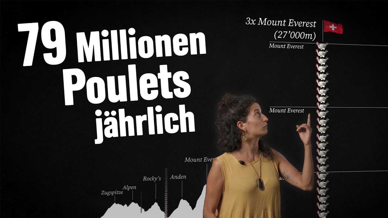 Hässlich, brutal und kurz: Das Leben eines Masthuhns in der Schweiz