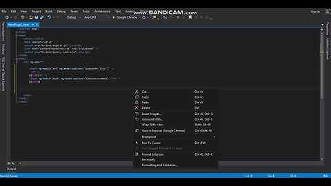Visual Studio Angular Tutorial 3-ng-model-options and ng-click(Angular For Beginners)