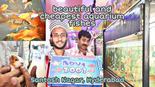 wide range of aquarium fish at cheapest rate l AQUA ZOO 3 l santoshnagar, hyderabad