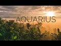 Aquarius - No longer blocked, but you need to look at this offer carefully - Jan 25 - 31