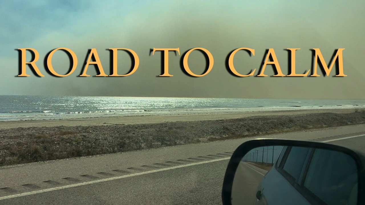 Reflections on the Epstein Files & finding moments of peace during dark times