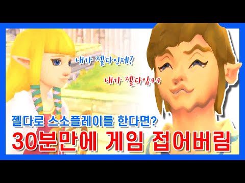 이름을 '젤다'로 해서 플레이한다면? [젤다의 전설 스카이워드 소드HD]