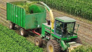 Chopping Silage in Nebraska 2022