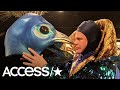 'The Masked Singer': Donny Osmond Shares The Hidden Meaning Behind His Peacock Costume