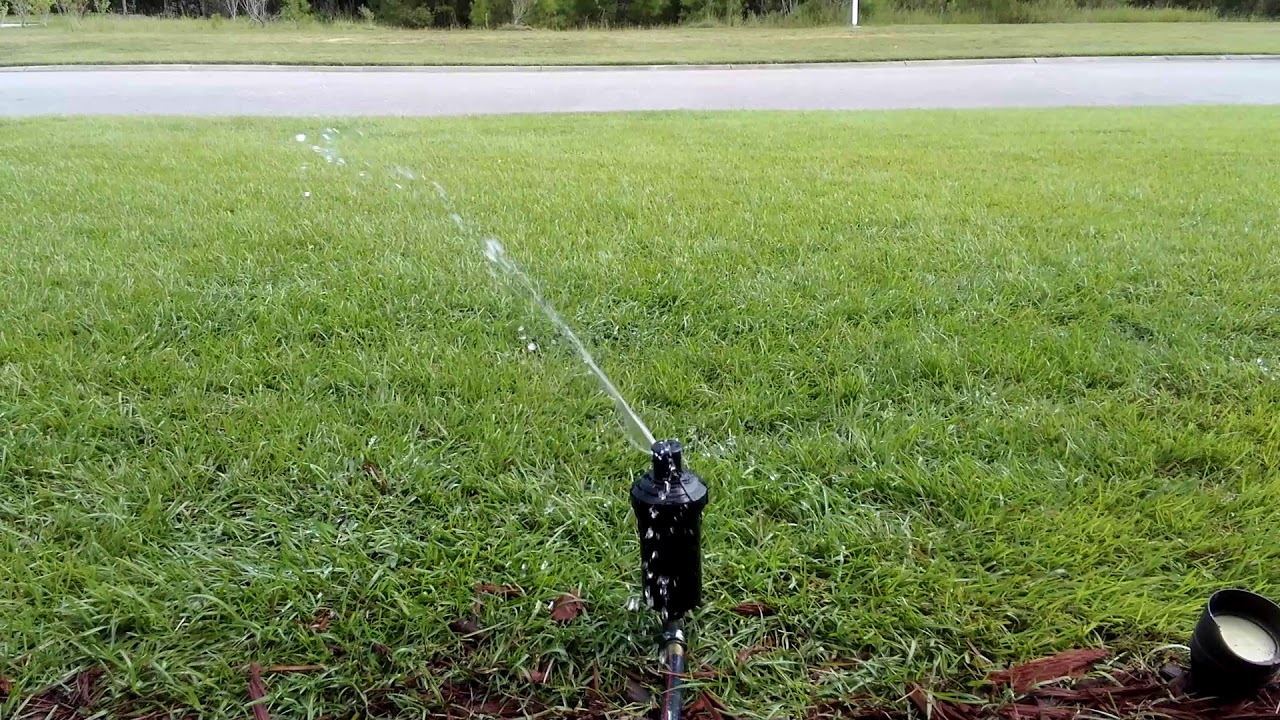 Rainbird r-50 turf bird sprinkler head demonstration - YouTube