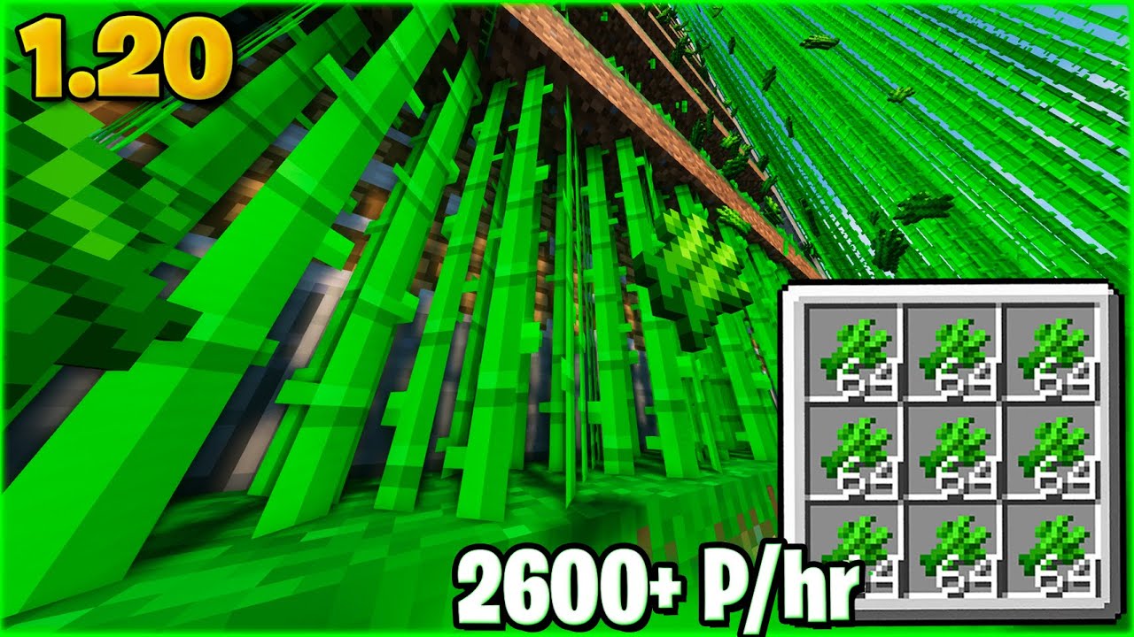MELHOR FARM de CANA de AÇUCAR do MINECRAFT 1.20 BEDROCK!!! - YouTube