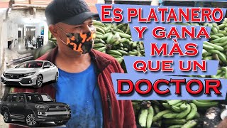 El platanero ¿Cuanto gana un platanero? Es platanero y Gana mas que un doctor dice todo sus vienes