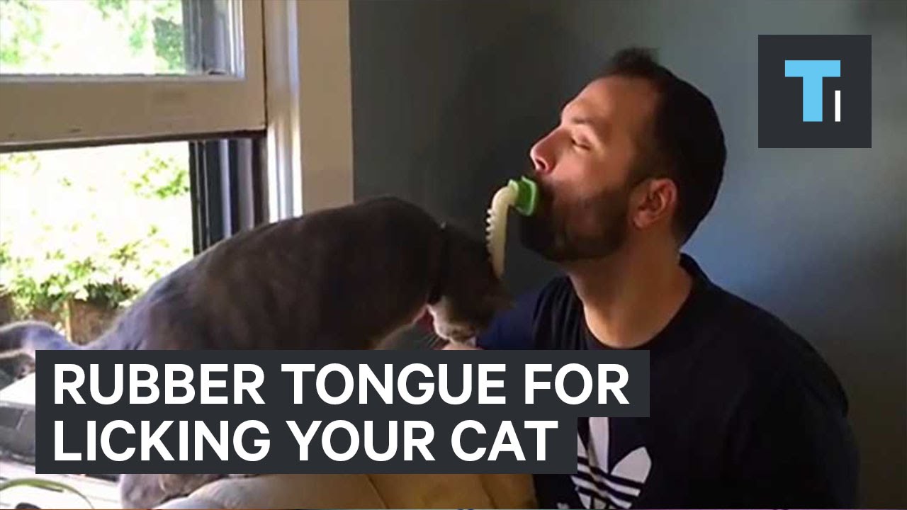 cat tongue brush shark tank