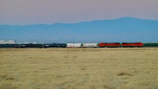 BNSF Bakersfield Sub Railfanning! ~ S&HC, CP Leader, Ventures, Dash 8s, and MORE!