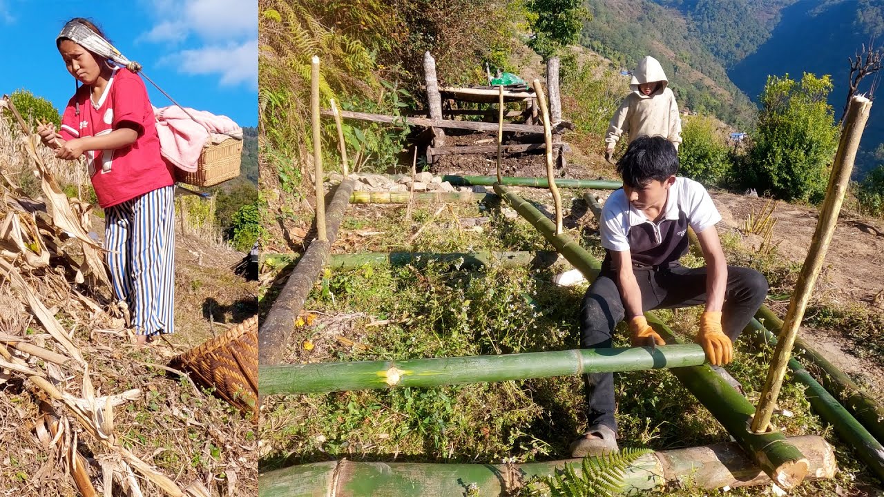 Adhiraj Making hut for livestock II Anita Collecting Organic beans@Manjitamrnati