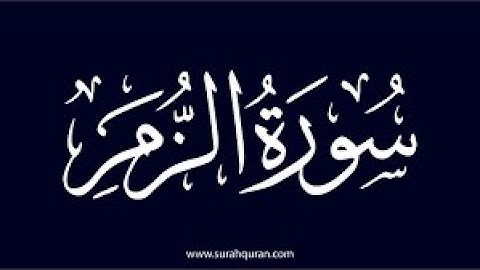 4- سورة الزمر41- 58