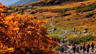 中央アルプス・木曽駒ケ岳と千畳敷カールの紅葉