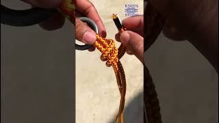 Knots That Never Break