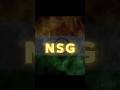 NSG 😀 || NSG commando || #nsg #nsgcommando #shortvideo