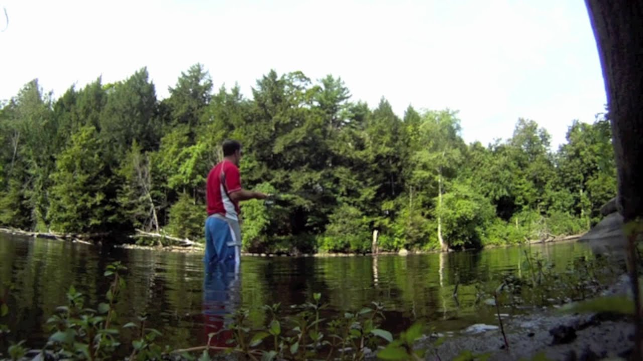 Housatonic River Fishing (August 14, 2012) YouTube