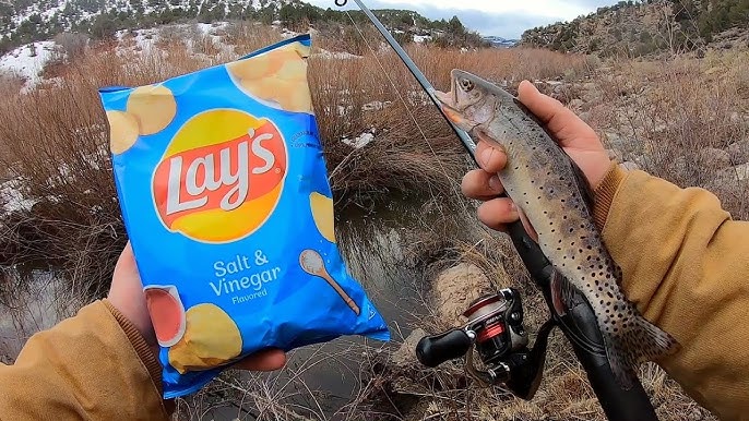 How To Cook Trout Fillets With Creamy Mustard Sauce 