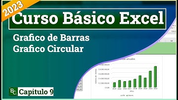Graficos. De Barras y Circular. Curso Basico de excel: Capitulo 9