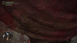 ELDEN RING - Be Wary of Prawn