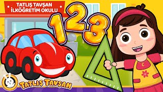 Daha Dün Annemizin · Şimdi Okullu Olduk · Sayılar ve Renkleri Öğreniyorum · Tatlış Tavşan
