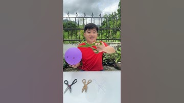 Testing 4 Types of Scissors – Which One Cuts Best? ✂️🔥
