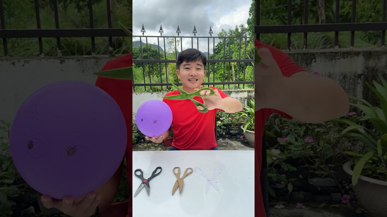 Тестируем 4 типа ножниц — какие режут лучше всего? ✂️🔥